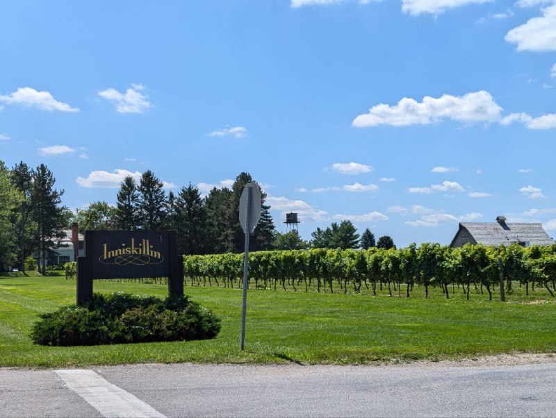 鑒於 LCBO 實在罷工太久了，我直接來雲嶺酒莊買廠家直銷吧🍷鑒於 LCBO 實在罷工太久了，我直接來雲嶺酒莊買廠家直銷吧🍷