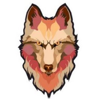 Telegram profile photo for 深圳狼友出击大队🐺