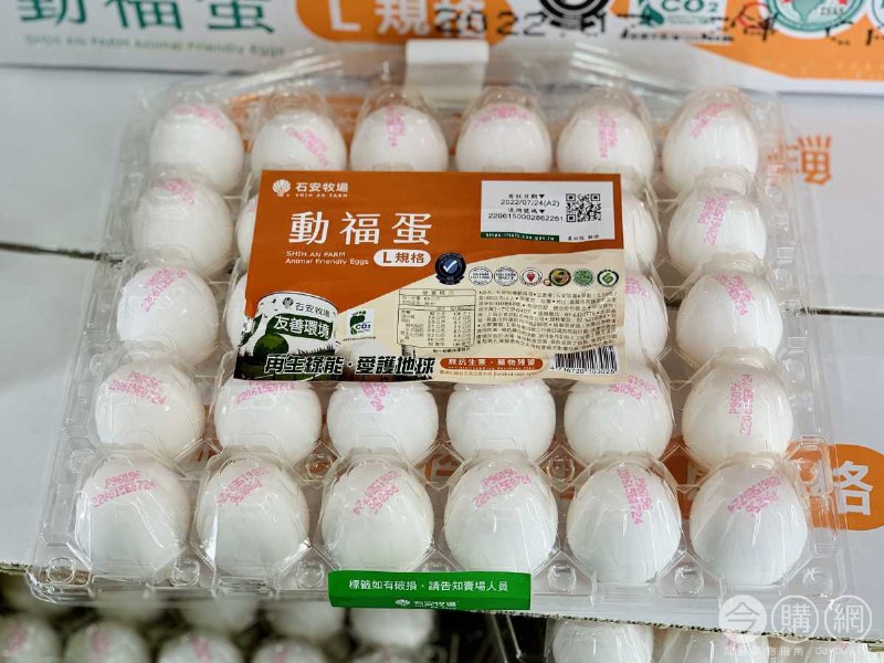 完整情報 