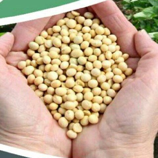 A-one Agro Education Hub Nohar 🌾🌾