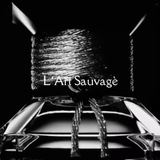 L’Art SauVagè