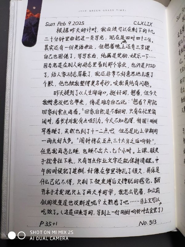 媒体预览
