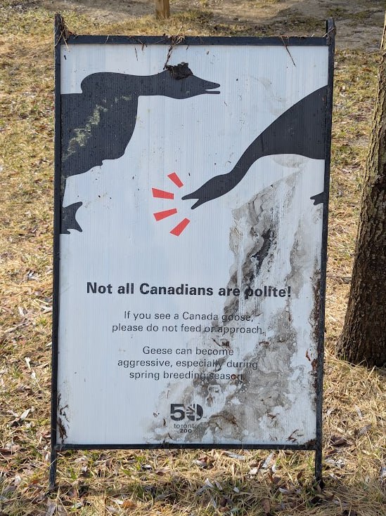 大鵝哏好諧音哏懷大鵝哏好諧音哏懷