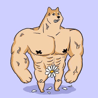 Telegram profile photo for Hachi the Dog Channel