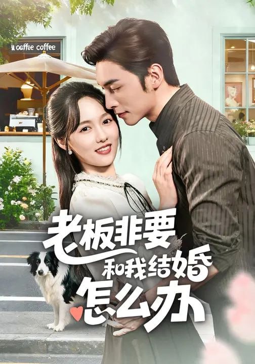 老板非要和我结婚怎么办（50集）王博&李媛菁