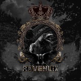 ✧ RAVENLIX PARTNERSHIP ✧