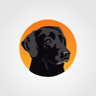 Dogs for sale in Bangalore Telegram Group Link