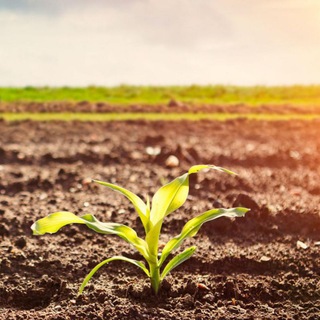 Agriculture knowledge by Aditya