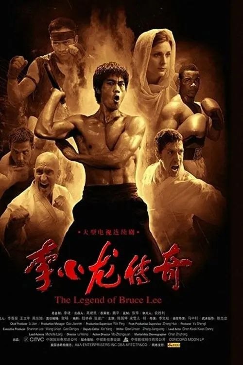 名称：李小龙传奇 (2008) 1080P 全集