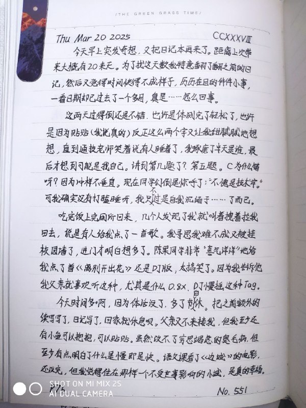 媒体预览