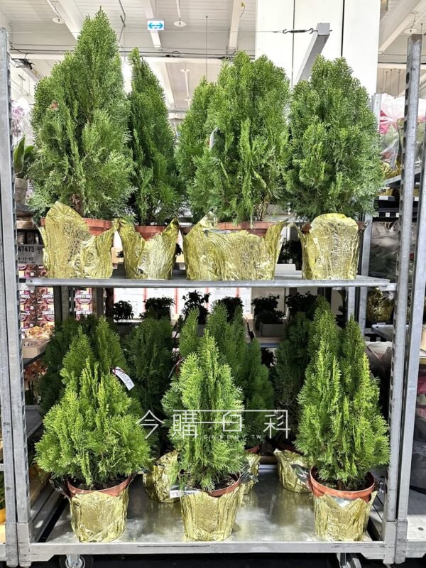新品情報連結 