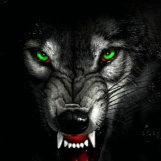 𝗖𝗼𝗰 𝗮𝗰𝗰𝗼𝘂𝗻𝘁 𝘀𝗲𝗹𝗹 𝗮𝗻𝗱 𝗯𝘂𝘆 Telegram Group Link