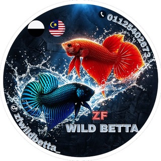 ZFWILDBETTA (BID & LOCK)