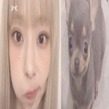 vivi.