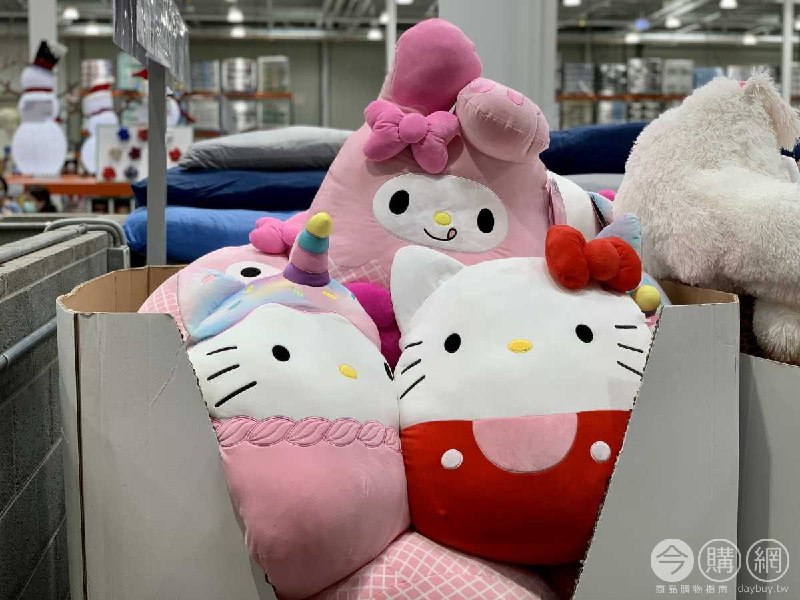Costco看到新的HELLO KITTY和MOELODY的抱枕，很可愛，摸起來柔軟好捏，小孩應該很愛抱