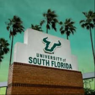University of South Florida Tampa Telegram Group Link