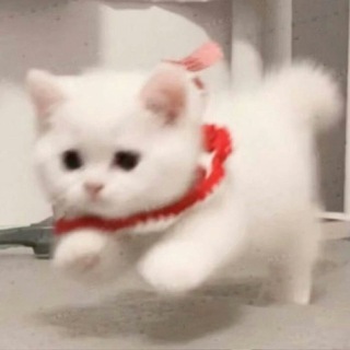 缘の买卖宣传互加群