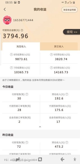 拼多多 AI 简历 + PPT ，单店月入过万实操全解！