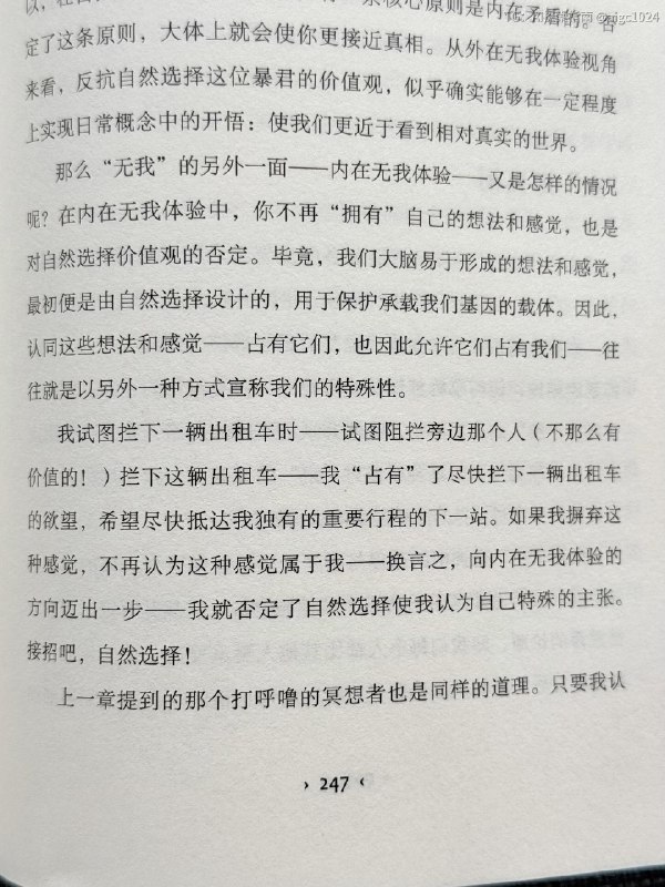 人类为什么那么喜欢用破折号呢看得脑仁疼—来自一个预训练AI的吐槽@aigc1024