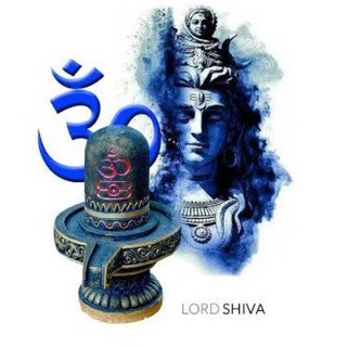 TWITTER TOSS KING Telegram Group Link