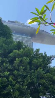 新加坡金沙酒店起火👀精品资源 🔎全网搜索