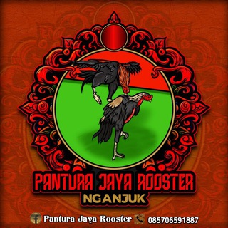 PANTURA JAYA ROOSTER🐔(ngk)