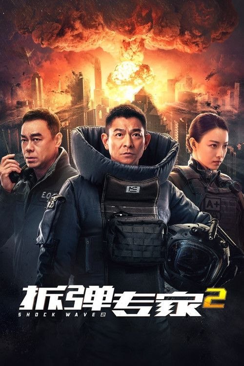 名称：【原盘】拆弹专家2 (2020) 4K REMUX 国粤多音轨 内封简繁字幕