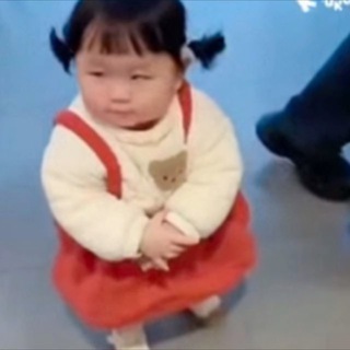 猫猫大队