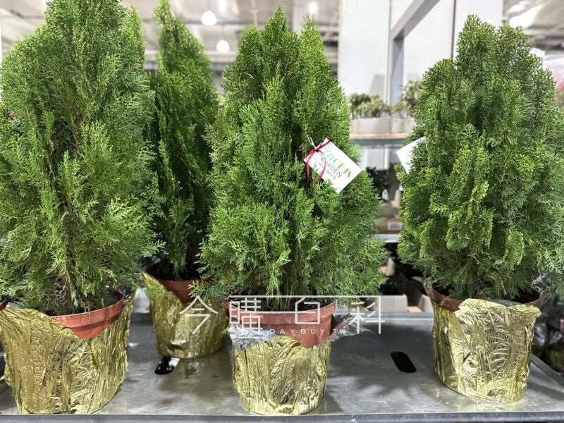 新品情報連結 