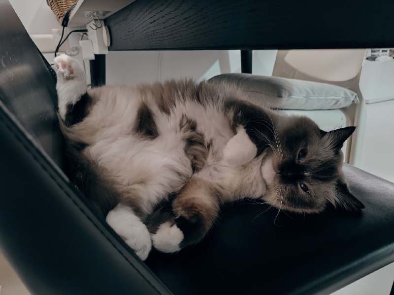 #悠闲夏天，吹着空调😏就是要这么悠闲自在！