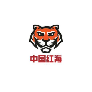 《中国红海》FB 🔥（友缘）🔥 INS（IG）🔥 领英 🔥推特🔥火种🔥VPN搭建