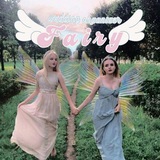 ✷ FAIRY ORGANIZER ✷