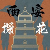 西安教务榜