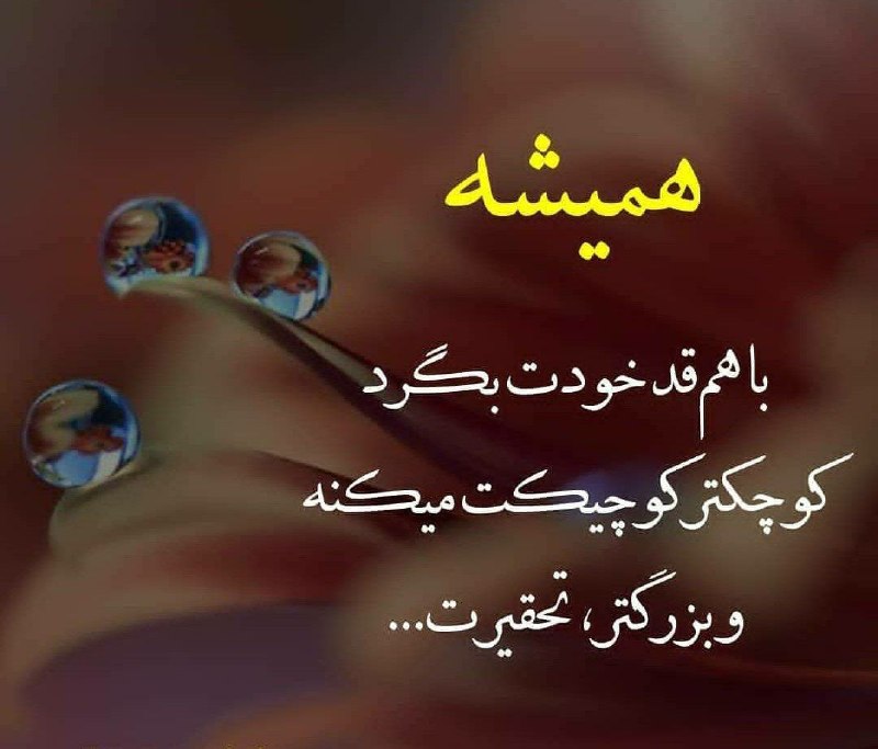 سخنان دلـنشین و زیبا ❤: همیشهبا هم قد خودت بگردکوچکتر کوچیکت میکنهو بزرگتر ، تحقیرت‌...‌‌‌🔜 ⿻ @marenmkl ⿻┗━❖♥️⃟🌼❖━━ 💎💜