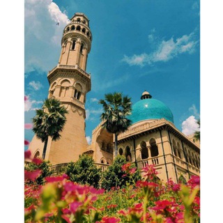 University of Allahabad [BSc] ❣️ Telegram Group Link