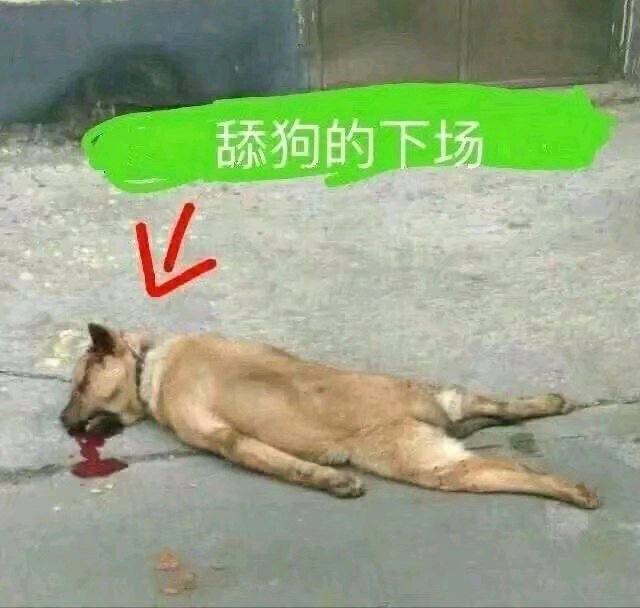 平台风险资料：东南亚谈恋爱 先看好你的USDT！ 钱是给女人看的 而不是给她花的 配图