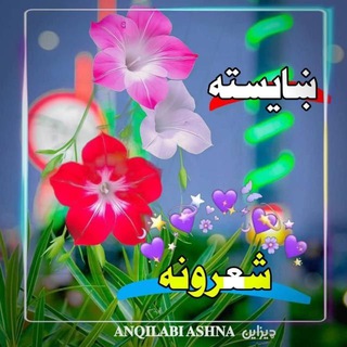 Telegram profile photo for ښایسته شعرونه