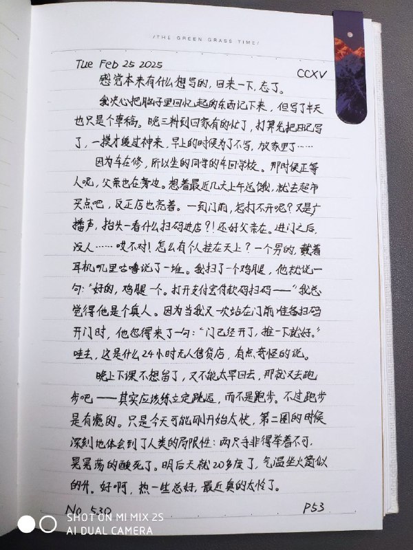 媒体预览