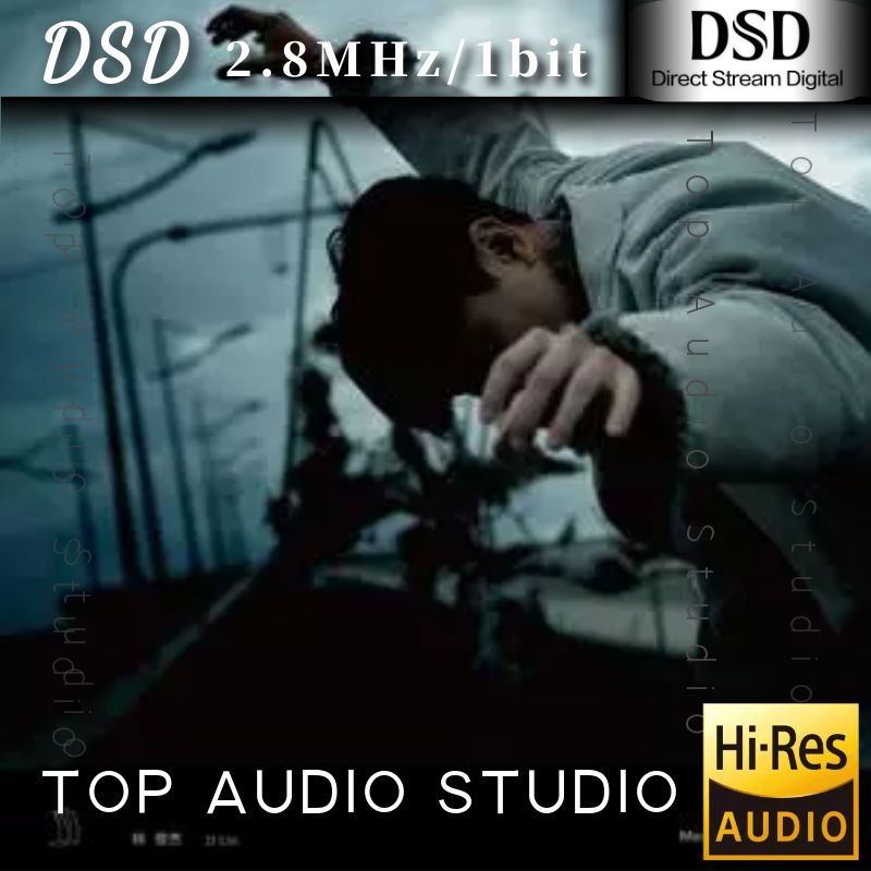 林俊杰 -  伟大的渺小 DSD描述