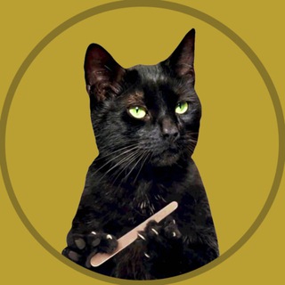 meow (portal)