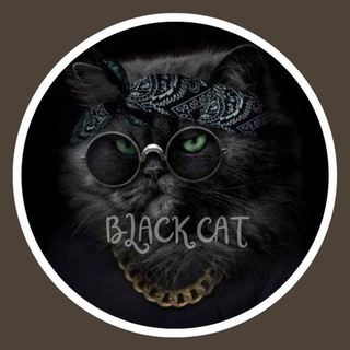Telegram profile photo for BLACK CAT BACKUP 🇲🇨