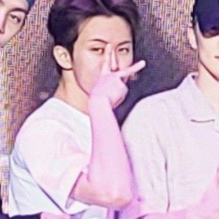 bima Telegram Group Link