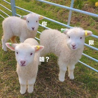 Legal buyer of Coinlist China Telegram Group Link