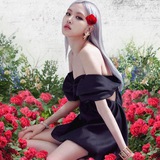 Flower garden