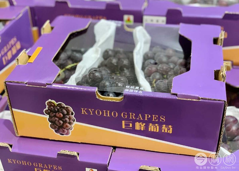 新品情報連結 