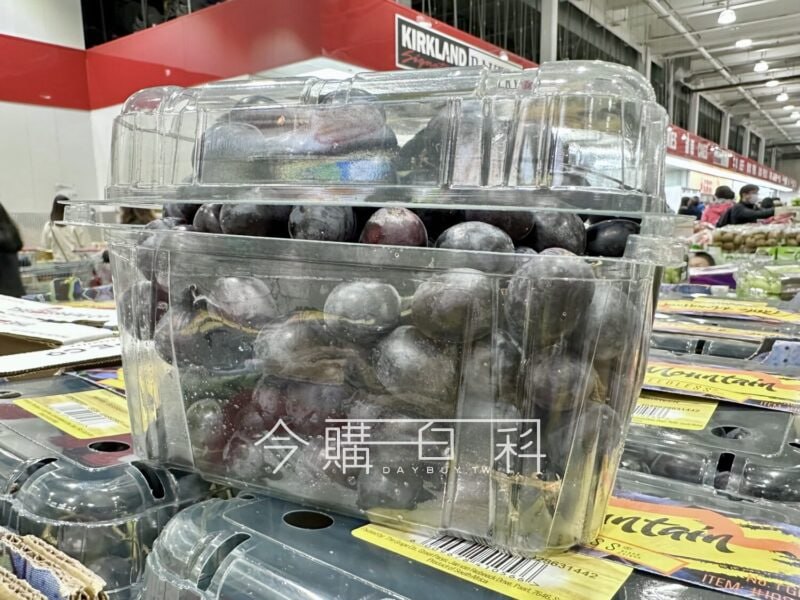 優惠情報看這裡 