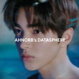 AHNORB’ DATASPHERE.
