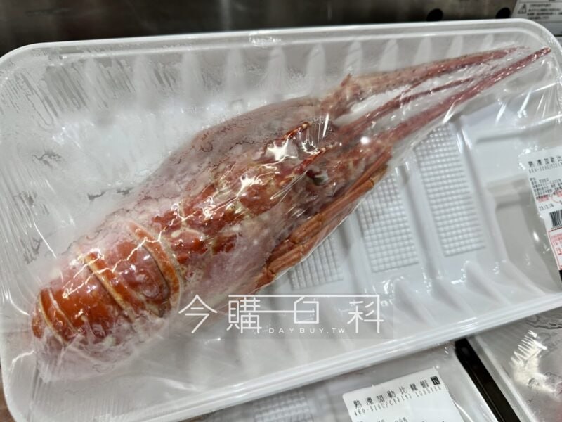 新品情報看這裡 