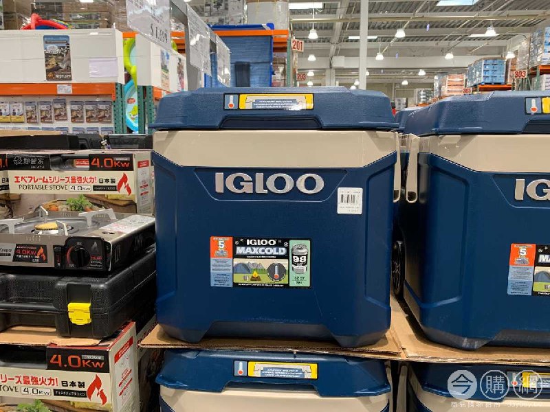#Costco好市多2月新品通知IGLOO MAXCOLD 62QT 美國製58升滾輪式冰桶 #1356920