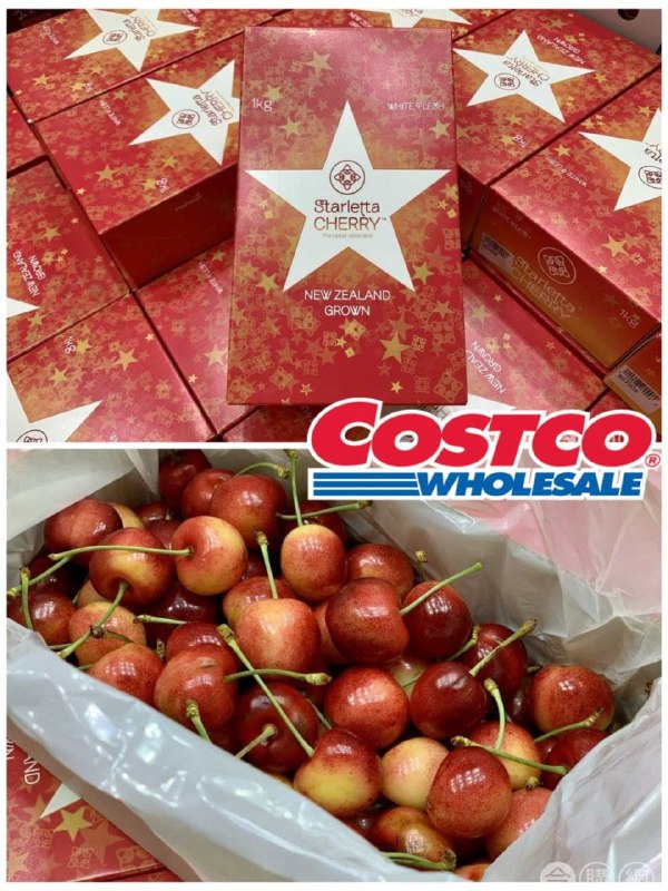 新鮮的紐西蘭櫻雪櫻桃，Costco冬季新上架，賣相很不錯!!新商品情報連結 